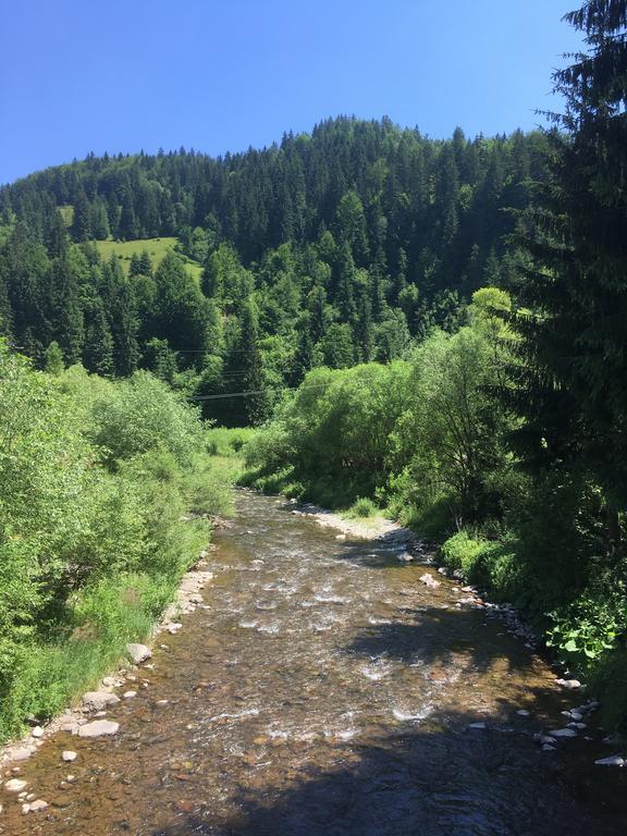 Cabana Felyviss Gîrda de Sus Exterior foto